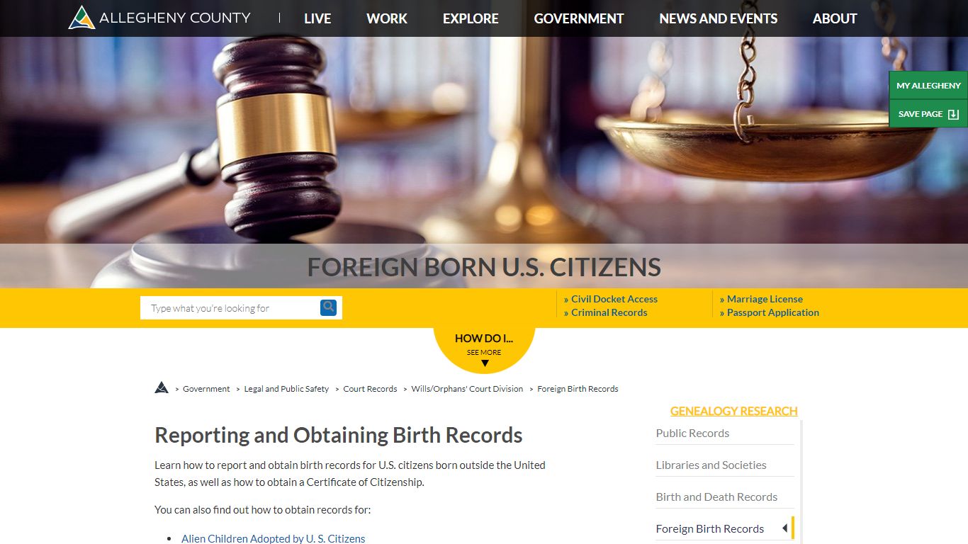 Birth Records | Foreign Born - Allegheny County, Pennsylvania
